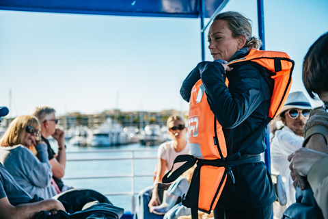 Excursión de 2,5 horas de avistamiento de ballenas Spirit of Gold Coast