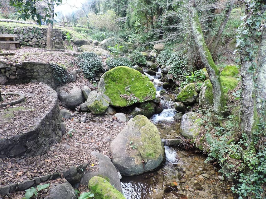 Desde Lagos: Paseo Guiado Por El Bosque De Monchique Con Degustación De ...