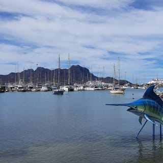 São Vicente: Markets, Beaches and Natural Park Tour