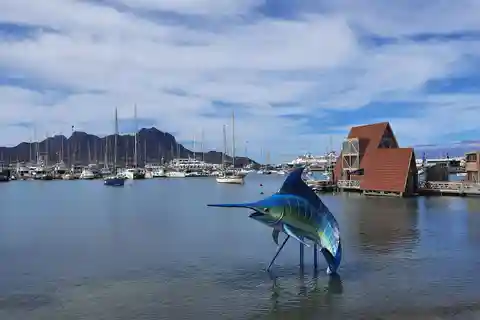São Vicente: Tour dei mercati, delle spiagge e del parco naturale