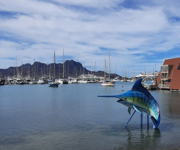 São Vicente: Mercados, praias e parque natural