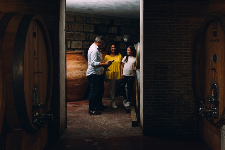 Park Narodowy Vesuvio: degustacja wina i wycieczka z lekkim lunchem