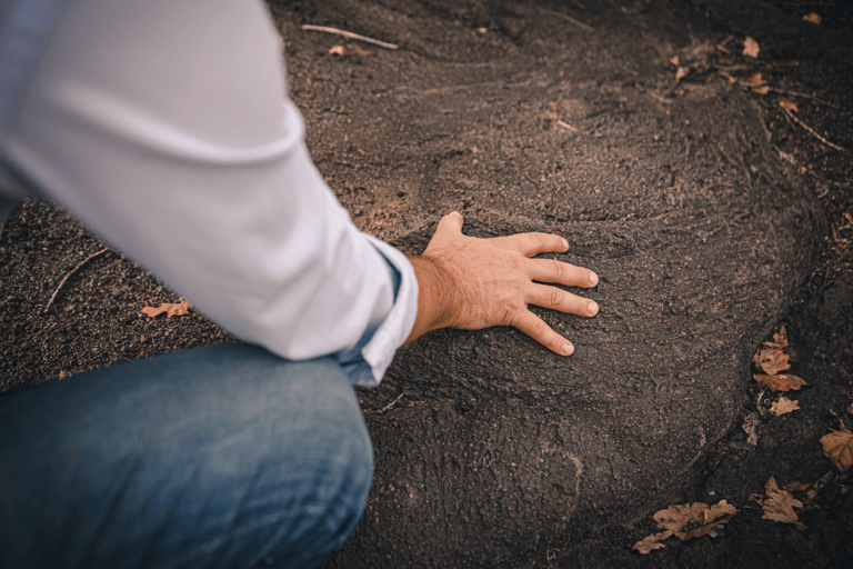 Vesuvio National Park: Wine Tasting &amp; Tour with Light Lunch