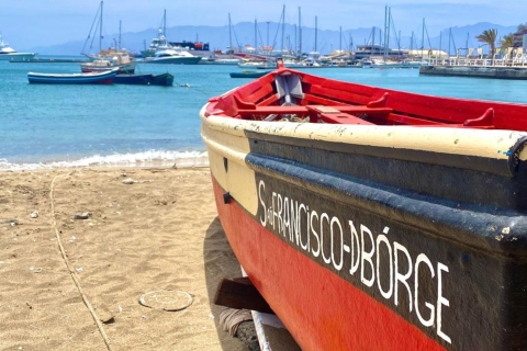 São Vicente: plongée avec tuba avec aventure des tortues de merSão Vicente: plongée avec tuba avec aventure privée de tortues de mer