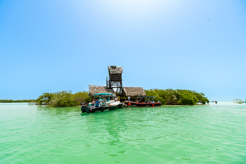 From Cancún/Playa del Carmen: Holbox Island Tour From Cancun: Holbox Tour - Spanish & English