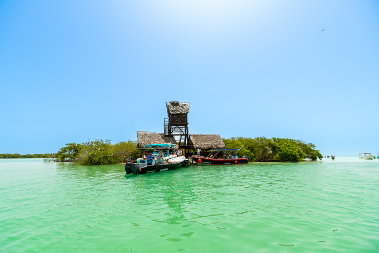 From Cancún/Playa del Carmen: Holbox Island Tour From Playa del Carmen: Holbox Tour - Spanish & English