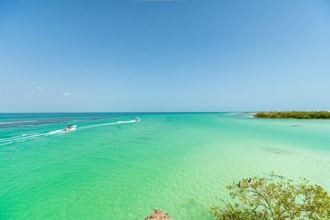 From Cancún/Playa del Carmen: Holbox Island Tour From Cancun: Holbox Tour - Spanish & English