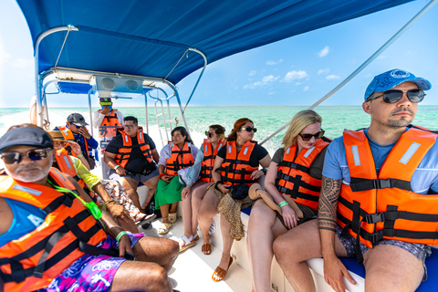 From Cancún/Playa del Carmen: Holbox Island Tour From Cancun: Holbox Tour - Spanish & English