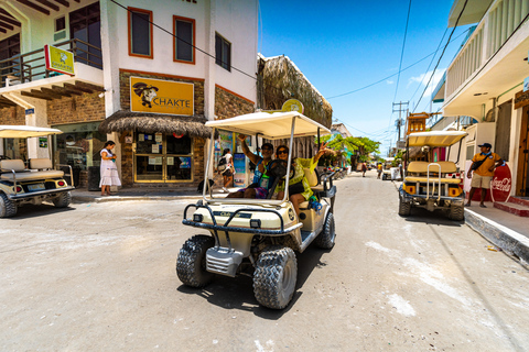 From Cancún/Playa del Carmen: Holbox Island Tour From Playa del Carmen: Holbox Tour - Spanish & English