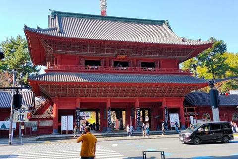 Tokyo: First/Last Day Tour for Haneda & Cruise Guests Haneda Airport → Tokyo