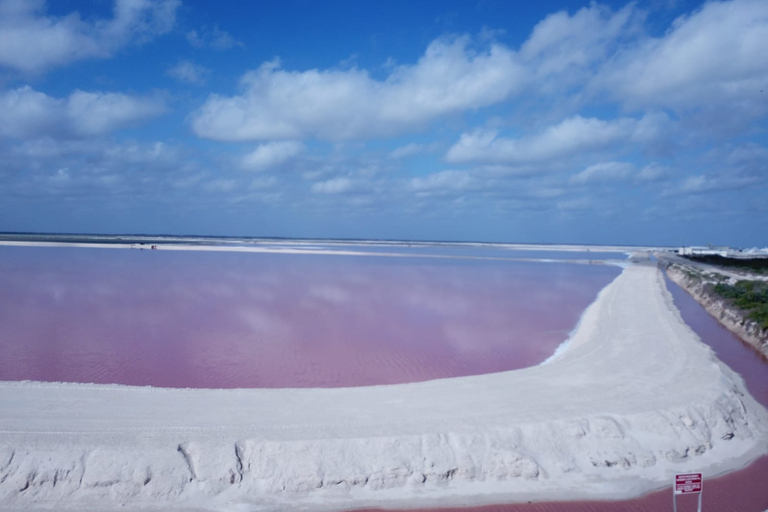 Rio Lagartos, Las Coloradas i Cenote Hubiku przez cały dzieńZ Cancún