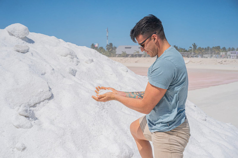 Río Lagartos, Las Coloradas y cenote Hubiku: tour 1 díaDesde cancún