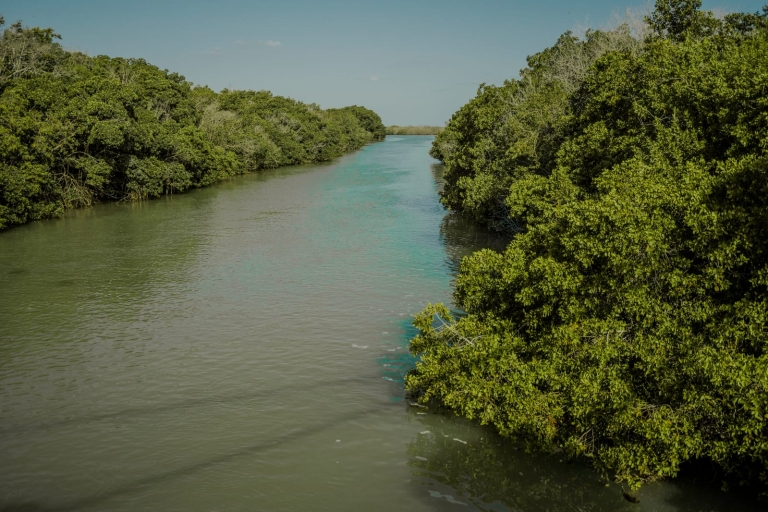 Rio Lagartos, Las Coloradas i Cenote Hubiku przez cały dzieńZ Cancún