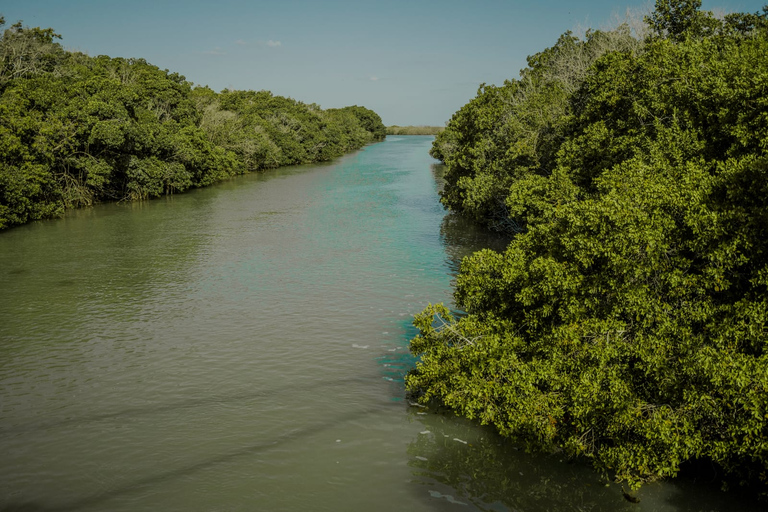 Rio Lagartos, Las Coloradas & Cenote Hubiku: TagesausflugVon Cancun