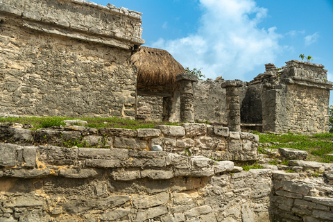 Från Cancún: Cobá, Cenote, Tulum och Playa del Carmen TourMötesplats Cancun Down Town