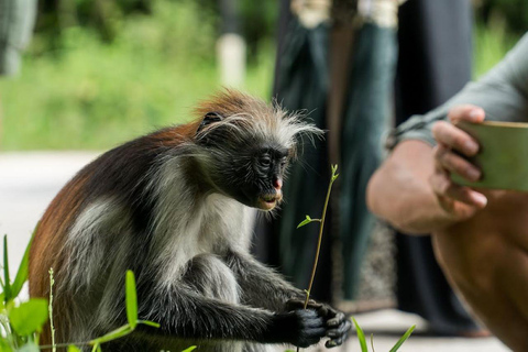 Zanzibar Spice Tour, Lunch Break Experience
