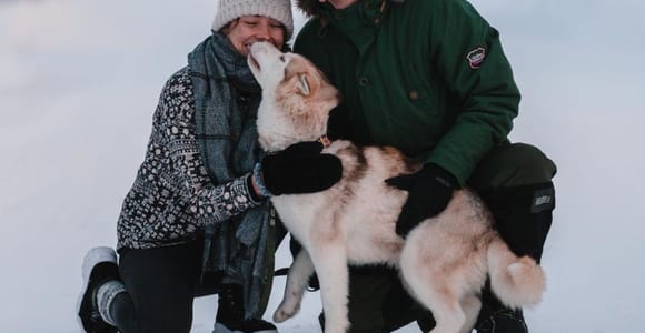Levi: Self-Drive 2 KM Husky Sledding Experience