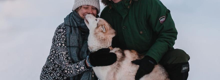 Levi : 2 KM de traîneau à huskies en autotour