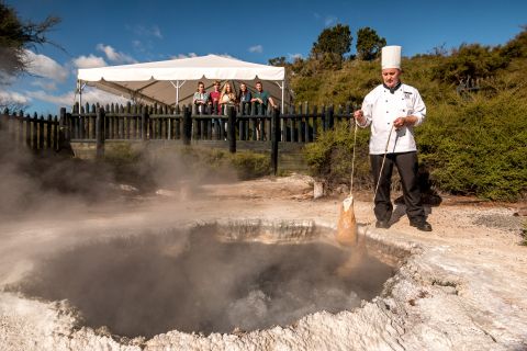 Steambox: Te Puia Guided Tour with Traditional Hangi Lunch
