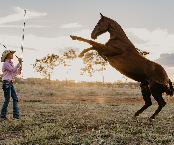 Katherine: Authentic Outback Show and Live Music