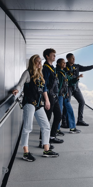 London: Tottenham Hotspur Stadium Skywalk Experience | GetYourGuide