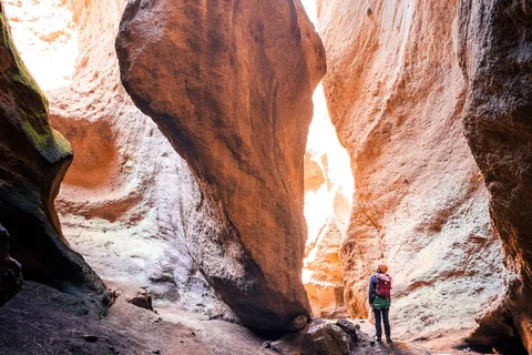 Tenerife: Los Arcos Canyoning Tour met Gids