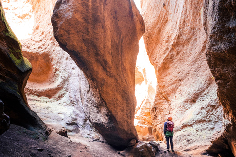 Tenerife: Los Arcos Canyoning Trip met Canyoning Gids