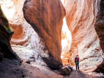 Tenerife: Excursión de Barranquismo en Los Arcos con Guía