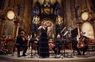 Wien: Klassisches Konzert im Stephansdom