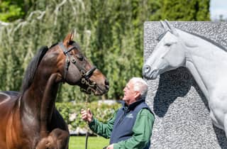 Kildare: Irish National Stud & Gardens