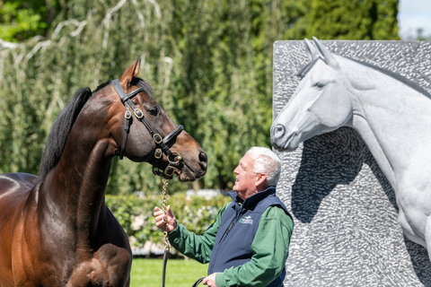 Kildare: Irish National Stud &amp; GardensStandardbiljett