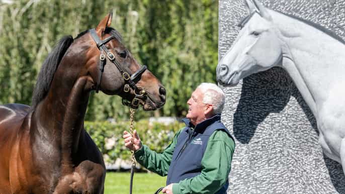 Kildare: Irish National Stud & Gardens