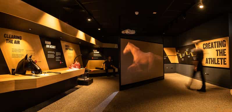 Galerie média