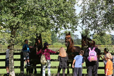 Kildare : Haras et jardins nationaux irlandaisBillet famille 2 + 2