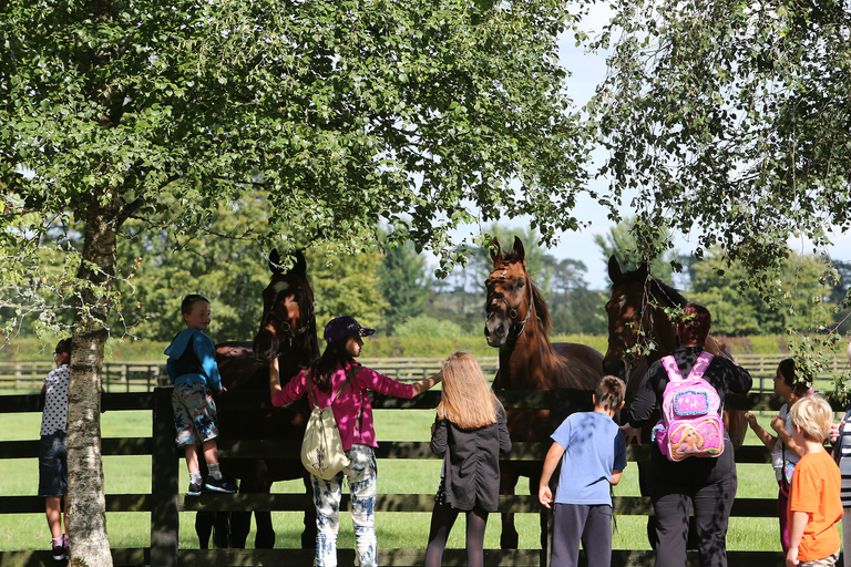 Kildare: Irish National Stud & Gardens Family Ticket 2 + 2