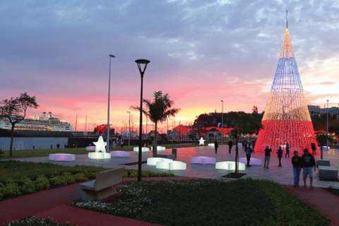 Kerstverlichting in Funchal TourStandaard Optie