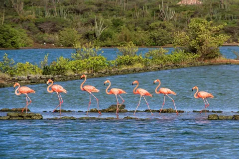 Willemstad: De adem van Curaçao
