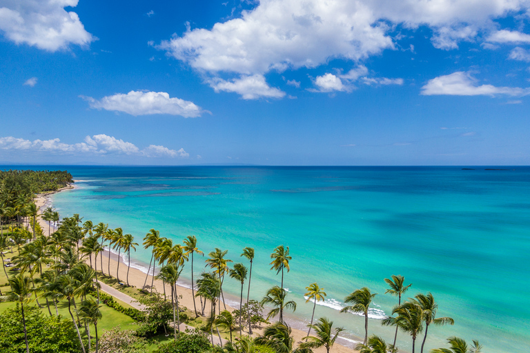 Les 7 plages cachées de Samaná et Las GalerasSamaná : Randonnée sur la plage de Las Galeras avec déjeuner et boissons non alcoolisées