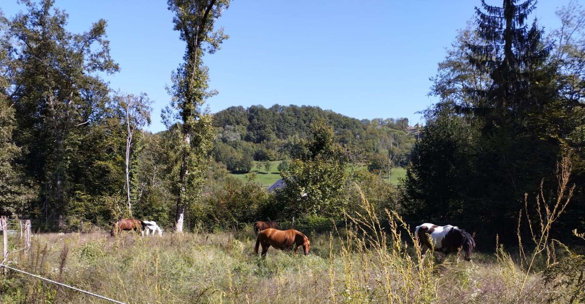 Cruseilles, Horseback Riding in the Countryside - Housity