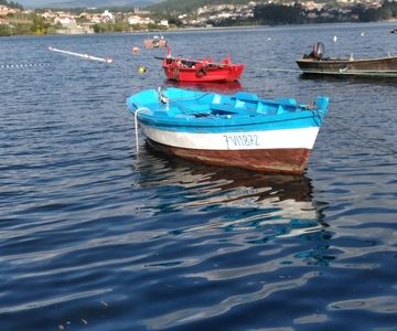 From Santiago de Compostela: Rias Baixas Tour