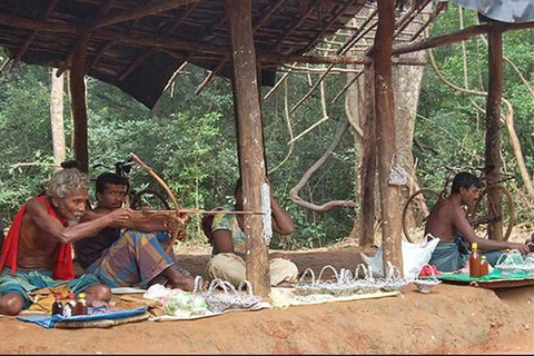 From Sigiriya to Ella Transfer with Vedda Village & More