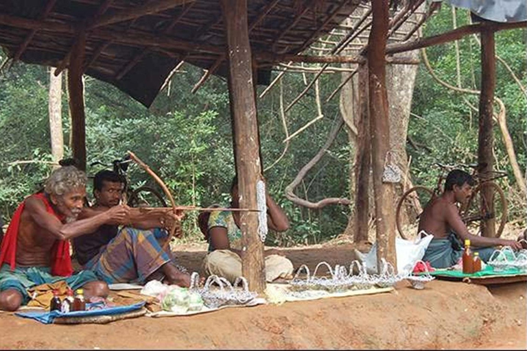 From Sigiriya to Ella Transfer with Vedda Village & More
