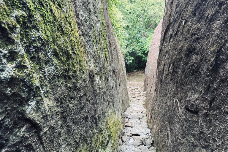 From Colombo: Gampaha District Temples & Jungle Hike Tour