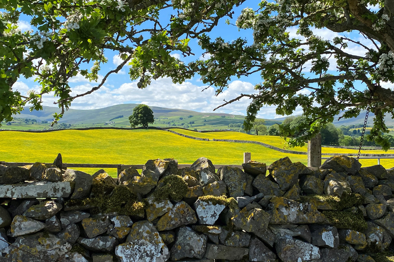 Från Lake District: Yorkshire Dales Tour med en hel dagMed avgång från Bowness