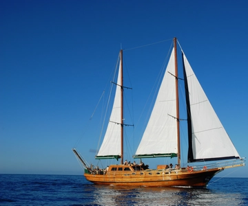 Fuerteventura: Exclusive Turkish Gulet Cruise with Lunch