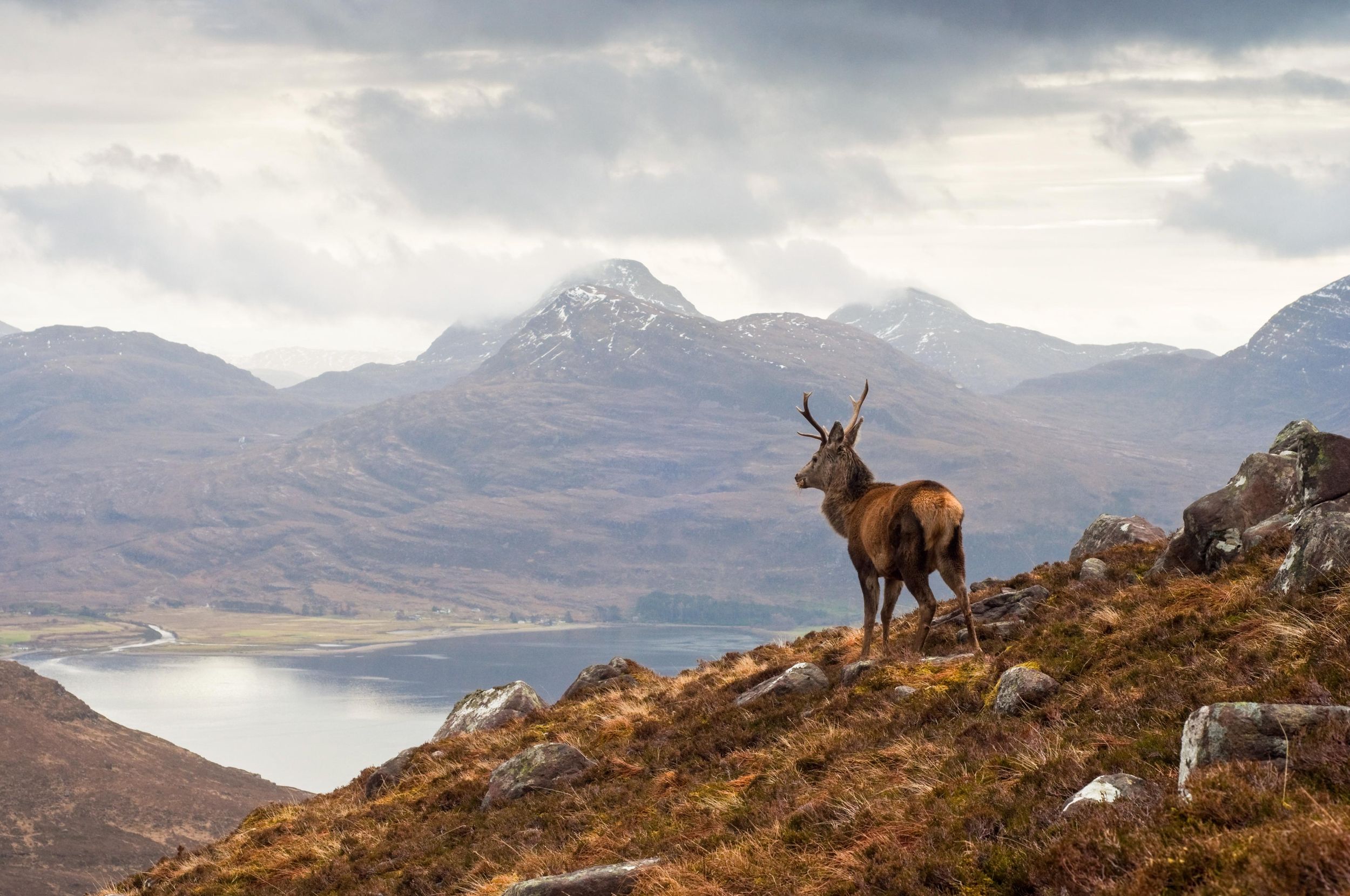 Inverness: Applecross, Loch Carron & Wild Highlands Tagestour