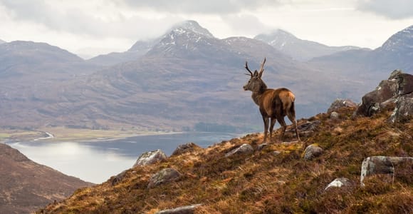 Inverness: Applecross, Loch Carron & Wild Highlands Day Tour
