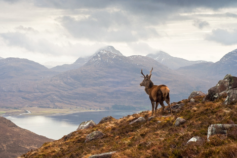 Applecross, Loch Carron & Wild Highlands Tour from Inverness Standard Option