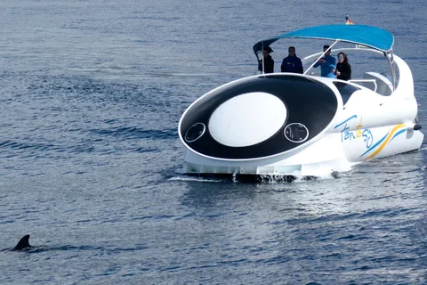 Von Tazacorte aus: Schnelle Yacht Tour auf La Palma
