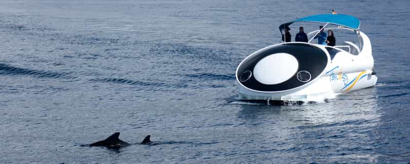 Von Tazacorte aus: Schnelle Yachttour um La Palma